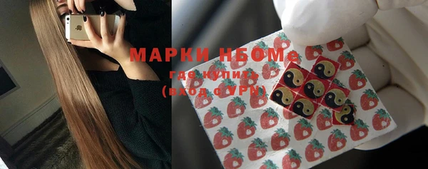 дмт Белокуриха