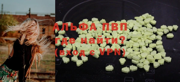 дмт Белокуриха