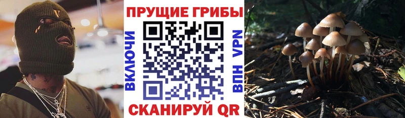 Галлюциногенные грибы прущие грибы  купить   Окуловка 